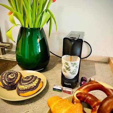 New With Sunny Terrace & Air Condition アパート チューリッヒ