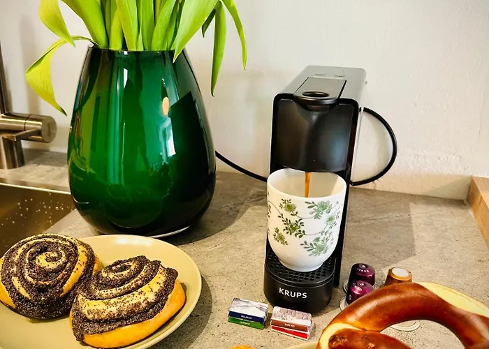 New With Sunny Terrace & Air Condition アパート チューリッヒ