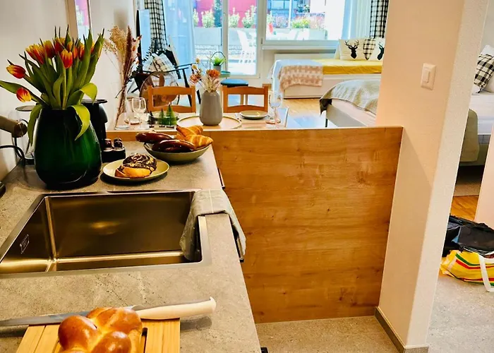 New With Sunny Terrace & Air Condition * زيورخ