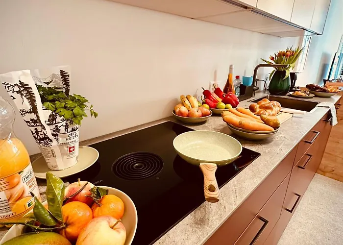 New With Sunny Terrace & Air Condition Appartement Zürich