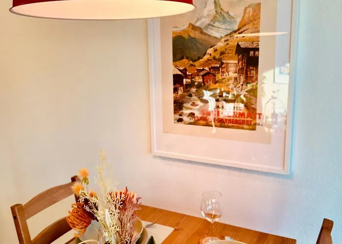 New With Sunny Terrace & Air Condition Appartement Zürich