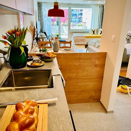 New With Sunny Terrace & Air Condition * Curych